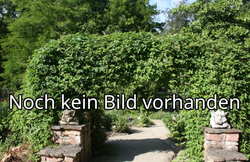 Botanischer Garten, Würzburg
