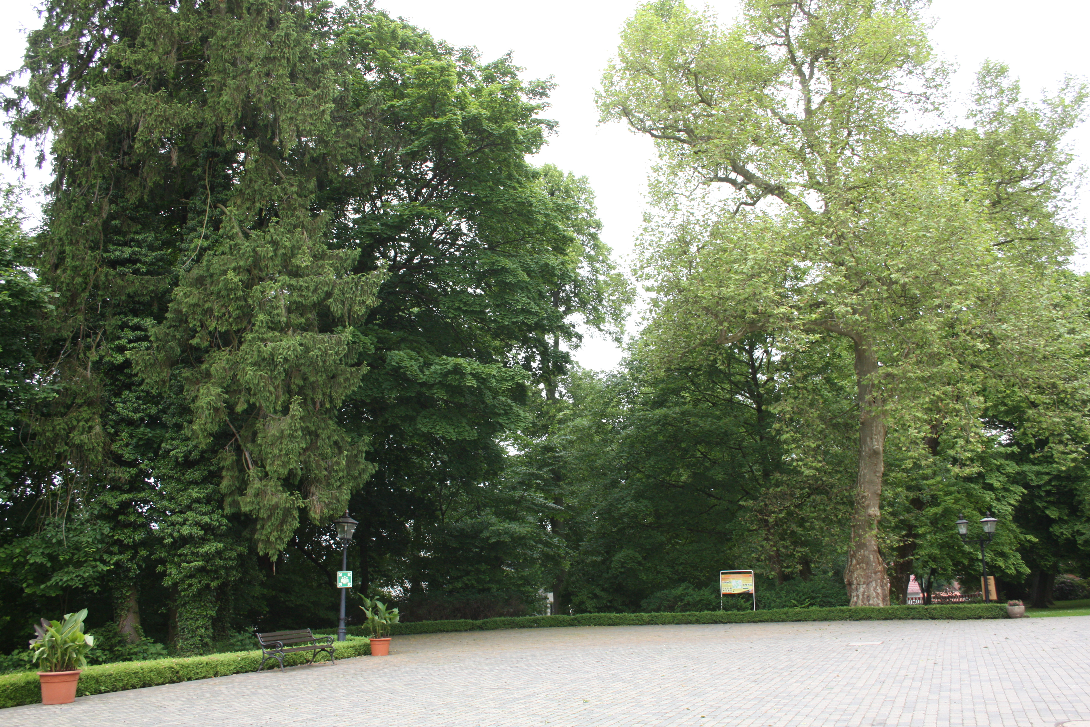Der Ausblick ins Grüne, den Schlosspark, vom Schlosshotel Gedern aus.
