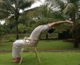 �Cat Stretch� r�ckw�rts