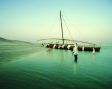 Dhow beim ablegen am Strand von Abu Dhabi.