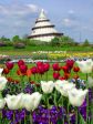 Elbauenpark mit Jahrtausendturm in Magdeburg. Davor das Meer an Bl�ten - ein w�ndersch�nes Ausflugsziel f�r Tagestouren.