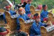Bei traditioneller Gamelanmusik auf Bali schwingen Gongs und Metallschalen