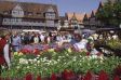 Der Geranienmarkt in Wolfenb�ttel