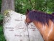 S�dheide Gifhorn Wanderreiten