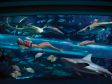 Golden Nugget Hotel in Las Vegas. Der "Golden Nugget Tank". Die Wasserrutsche welche durch dass Wasser f�hrt, statt nur hinein.