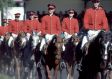 Die Hengstparade in Celle