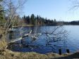 Der Kirchsee in Sachsenkam / Oberbayern.