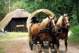 S�dheide Gifhorn - Kutsche am Schafstall