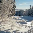 Harz: In der Loipe bei Hahnenklee