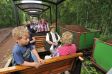 Moorbahnfahrt S�dheide Gifhorn