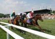 Jockeys auf der Pferderennbahn w�hrend der Bad Harzburger Rennwoche