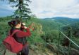 Die wundersch�ne Aussicht von der Rabenklippe in Richtung Brocken