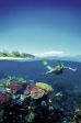 Australien: Great Barrier Reef - Reef Outback