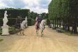 In den Herrenh�user G�rten Hannover: Royal Horse Gala