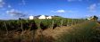 Tokaj Diszn�k�