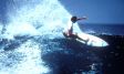 Auch Surfer kommen hier auf Ihre Kosten. Auf den Malediven kann man regelm�ssig gut surfen.