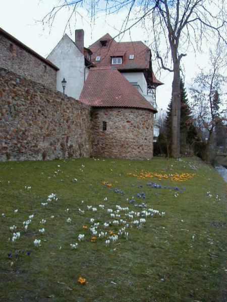 Alte Stadtmauer, Weiden