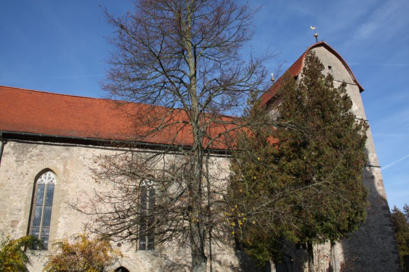 Wehrkirche mit Krypta, Rohr (Thüringen)