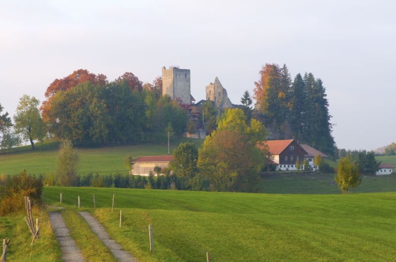 Burgruine, Sulzberg