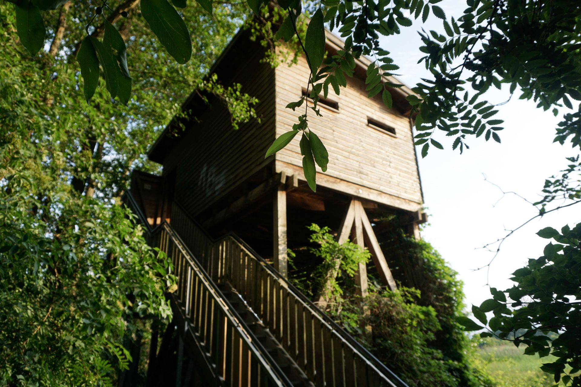 Aussichtsturm Steinhorster Becken