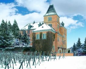 Hotel Schloss Edesheim