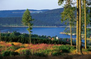 Schluchsee