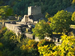 Burgruine Schmidtburg