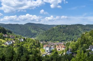 Rottweil