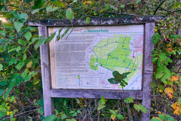Infotafel Naturschutzgebiet Heisterholz Petershagen