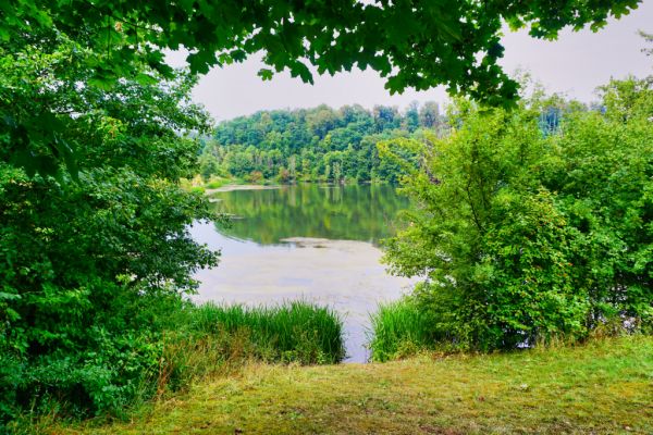 Twistesee