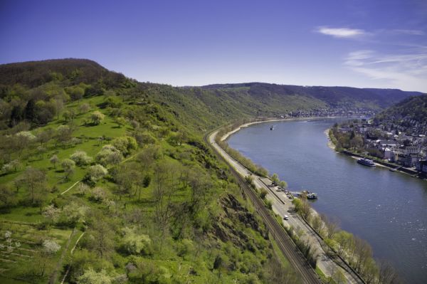 Kirschenpfad Filsen