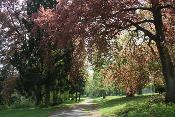 Park vom Schloss Eisenbach