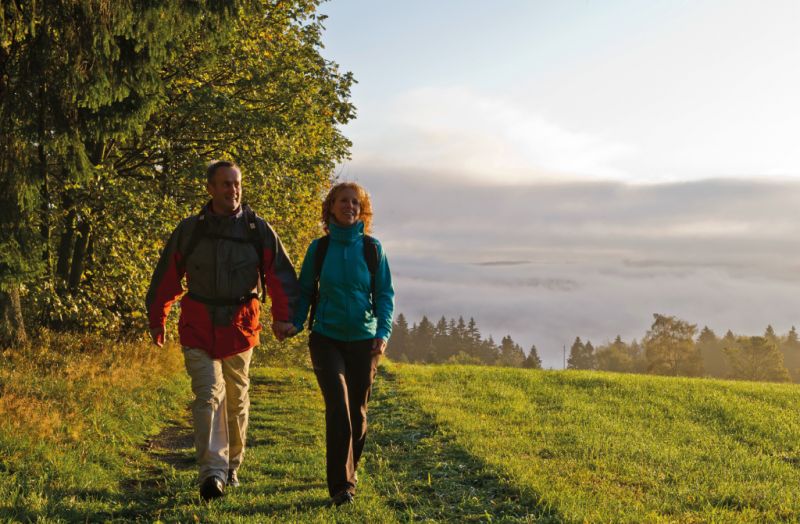 WaldSkulpturenWeg, Schmallenberg