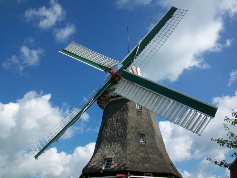 Accumer Mühle, Schortens