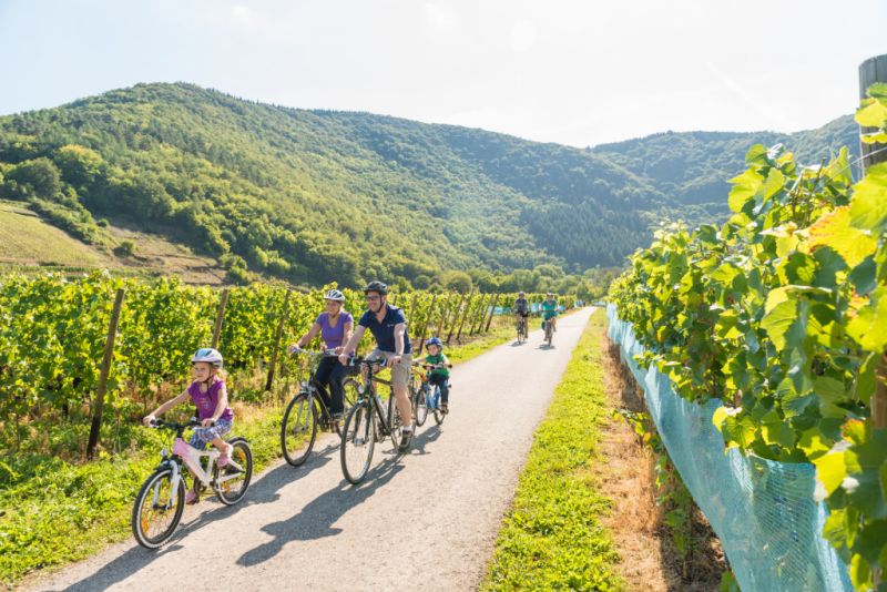 Ahr-Radweg, Mayschoß