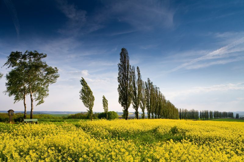 Eichsfeld - © H. & D. Zielske / TMN Eichsfeld