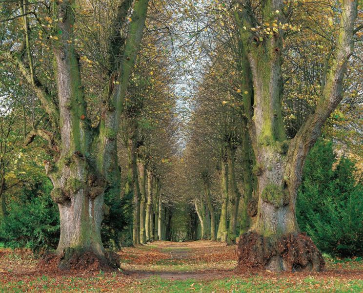 Schloss und Schlosspark, Kittendorf Schloss und Schlosspark, Kittendorf
