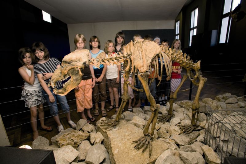 HöhlenErlebnisWelt, Giengen HöhlenErlebnisWelt, Giengen