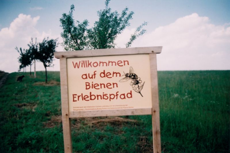 Bienen-Erlebnispfad, Bruttig-Fankel