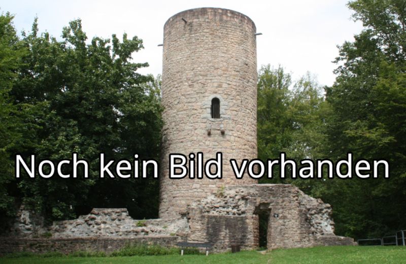 Burg Dankwarderode, Braunschweig