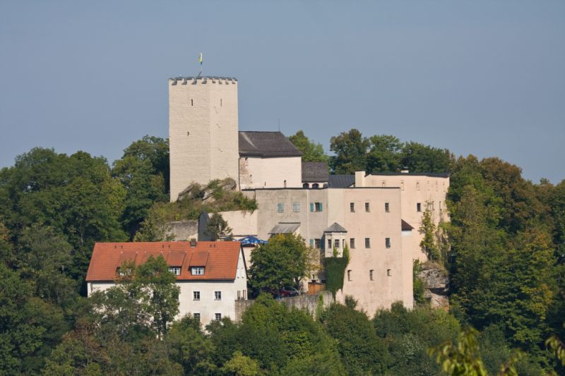 Burg, Falkenstein (Oberpfalz)
