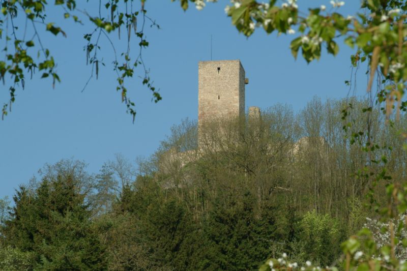 Burg Murach, Oberviechtach