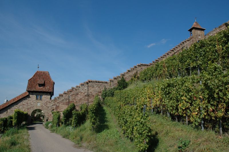 Burg Hohenbeilstein, Beilstein