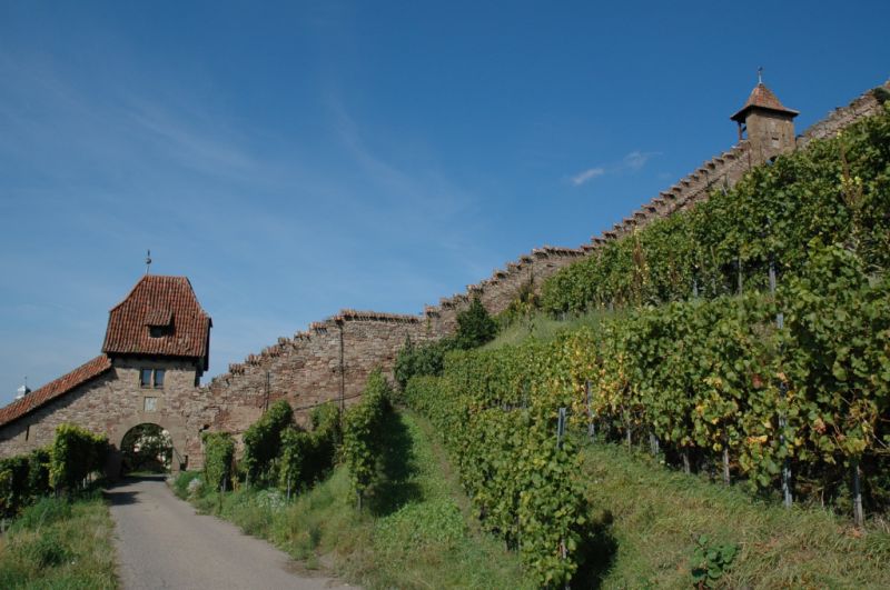 Burg Hohenbeilstein, Beilstein Burg Hohenbeilstein, Beilstein
