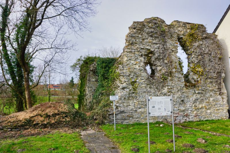Burgruine Kohlstädt, Schlangen Burgruine Kohlstädt, Schlangen
