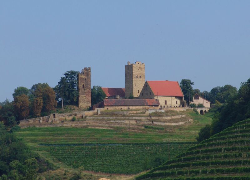 Burg Neipperg, Brackenheim