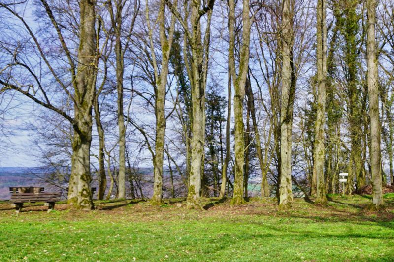 Archäologische Pfade, Felsberg Archäologische Pfade, Felsberg