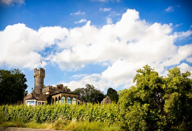 Burghotel Schwarzenstein Geisenheim