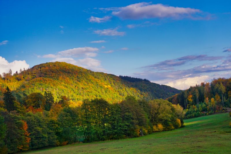 Sackpfeifen, Hatzfeld Sackpfeifen, Hatzfeld
