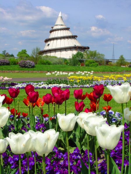 Elbauenpark, Magdeburg